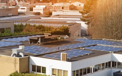 ¿Por qué elegir una instalación placa solar para empresas?