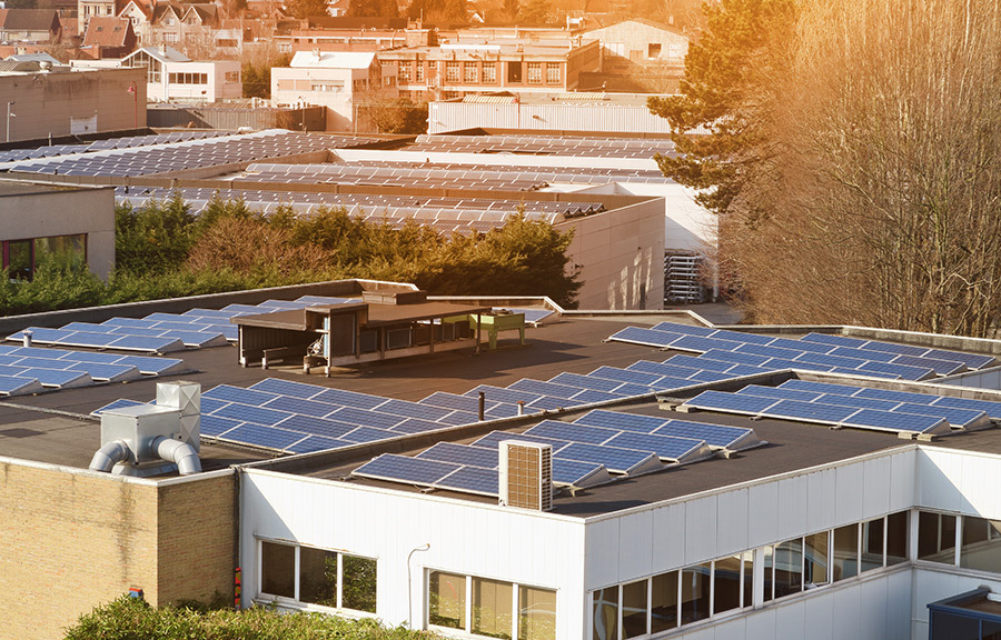 ¿Por qué elegir una instalación de placa solar para empresas?