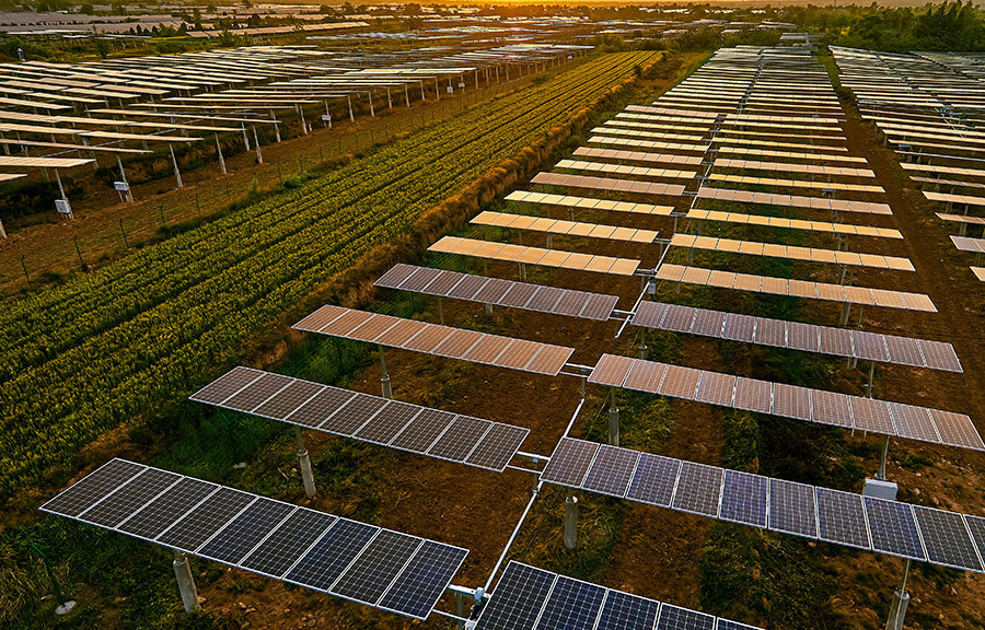 parques fotovoltaicos que se instalan a gran escala