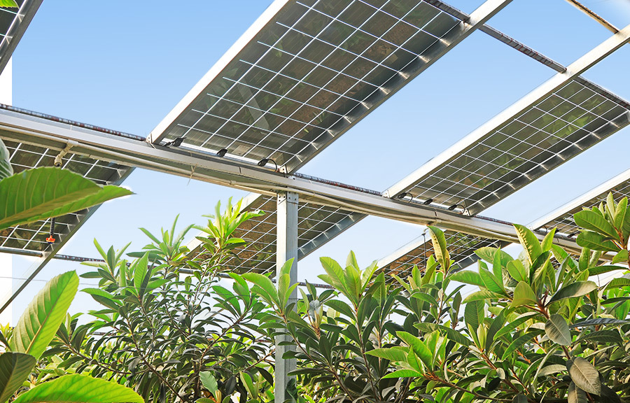 Instalación de placas solares en invernaderos