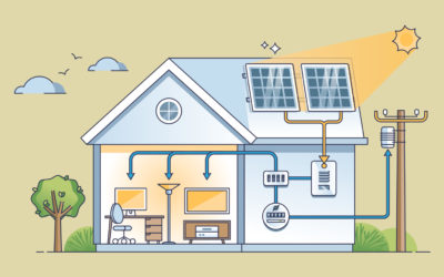 ¿Cómo los paneles solares convierten la energía del sol en electricidad utilizable? 
